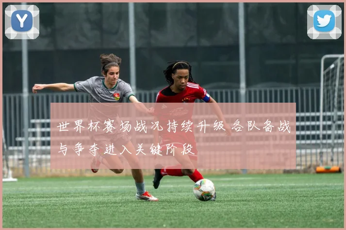 世界杯赛场战况持续升级 各队备战与争夺进入关键阶段