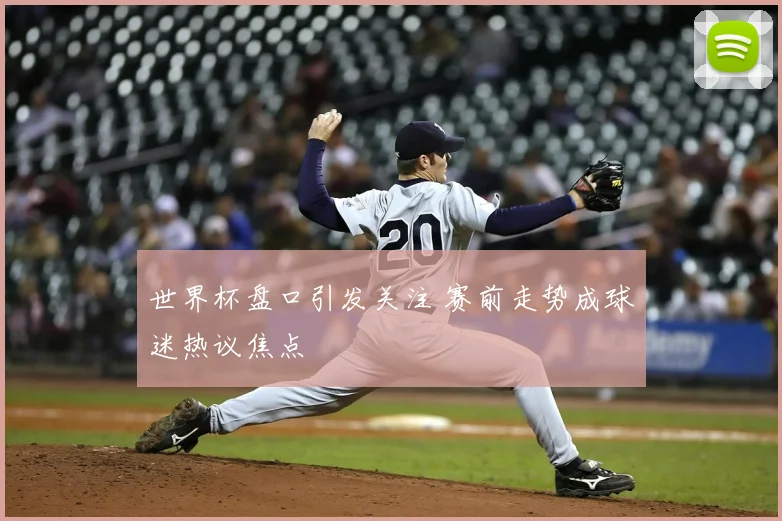 世界杯盘口引发关注 赛前走势成球迷热议焦点