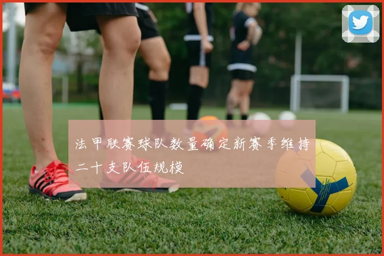 法甲联赛球队数量确定新赛季维持二十支队伍规模